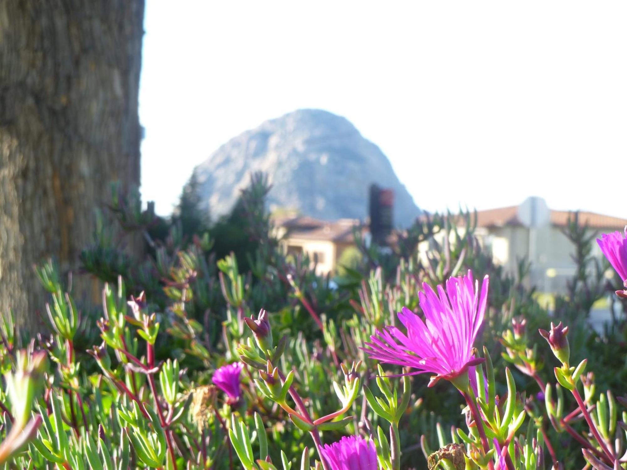 Morro Bay Sandpiper Inn Exterior foto